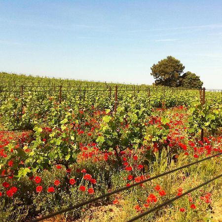 Maison De Margot Peyriac-Minervois Kültér fotó