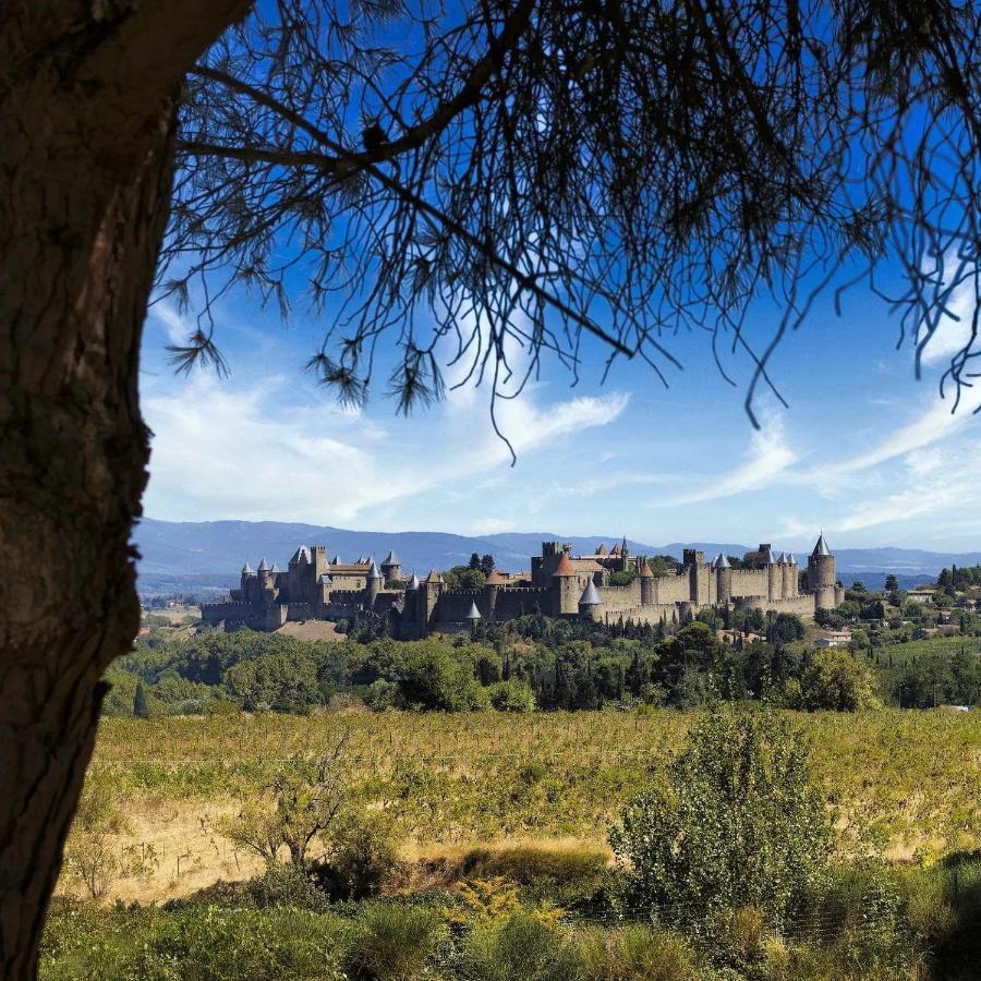 Maison De Margot Peyriac-Minervois Kültér fotó