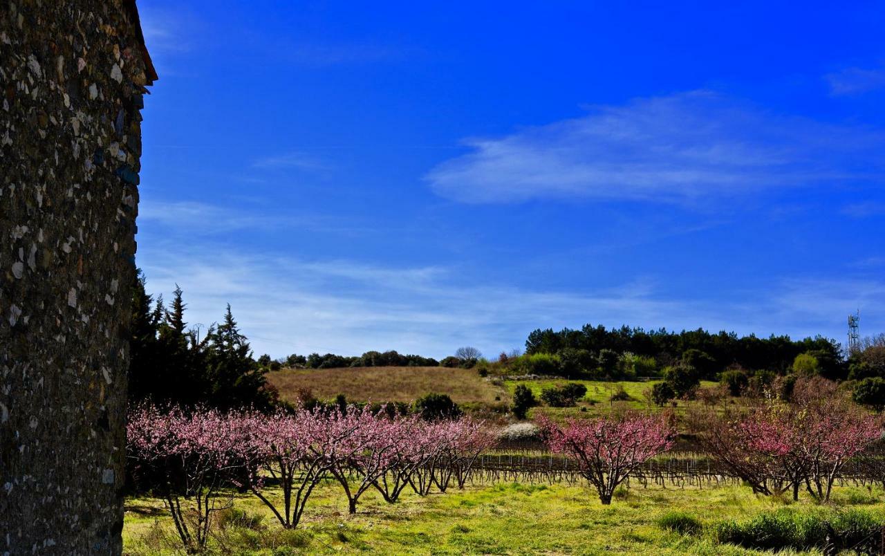 Maison De Margot Peyriac-Minervois Kültér fotó
